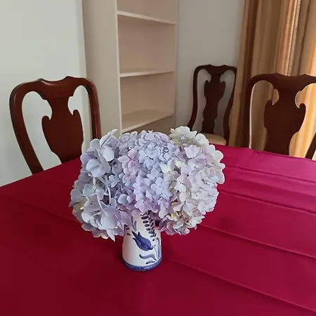 Cozy Premium Apartamento