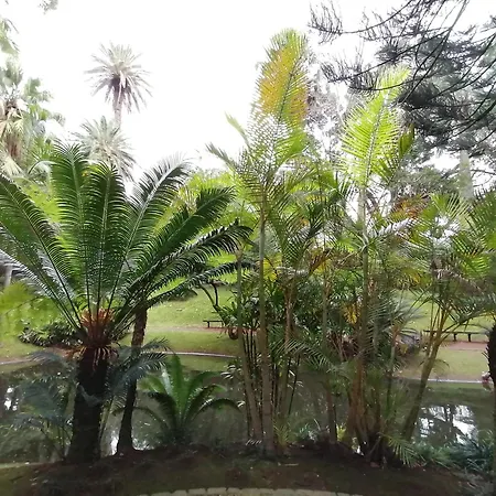 아파트 Cozy Premium Ponta Delgada